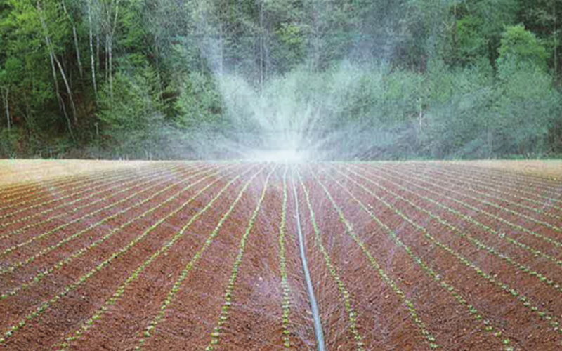 <span>sumirain_40</span><br />露天灌溉